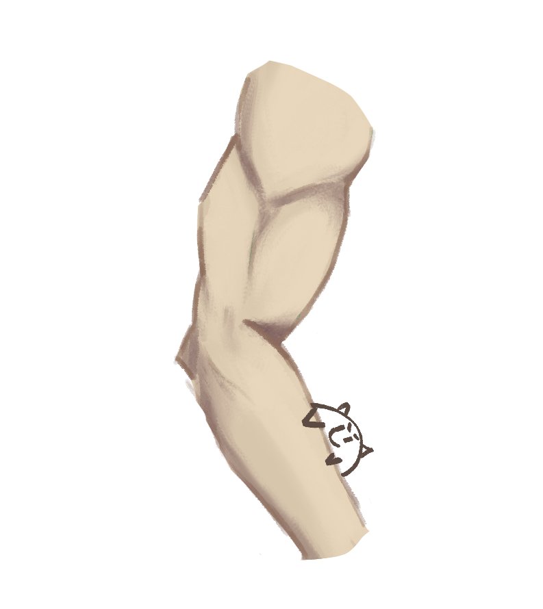 Rose0o0w's tweet photo. Arm 
(Anatomy is buns)
#digitalart https://t.co/fnzsvdGMbr