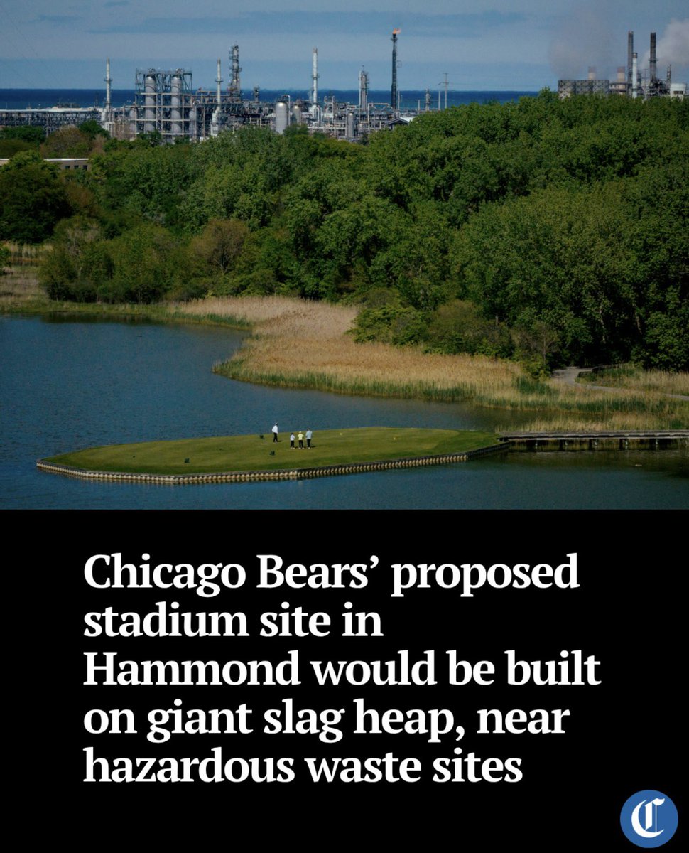 Bears History tweet media