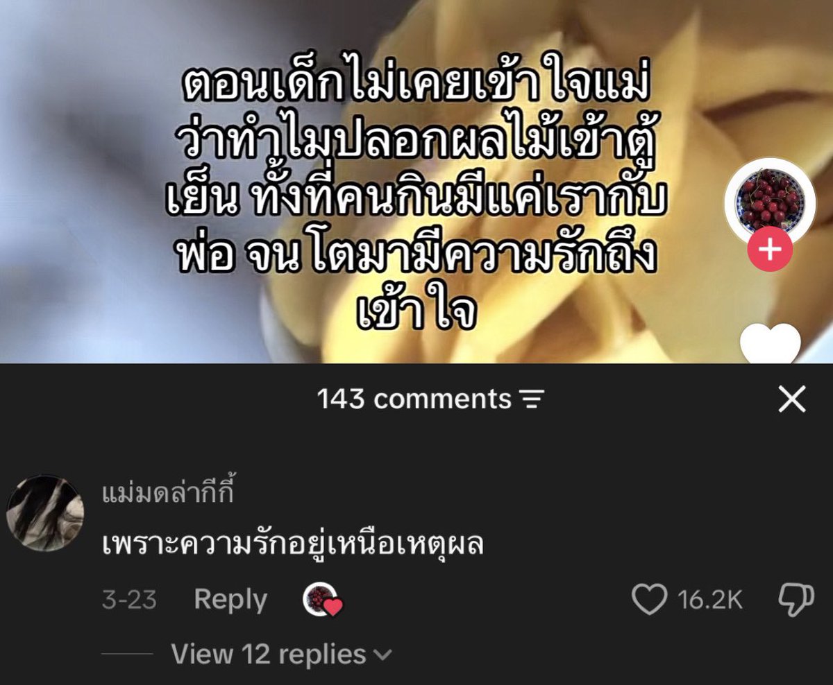 𝐦𝐢𝐧𝐞 tweet media
