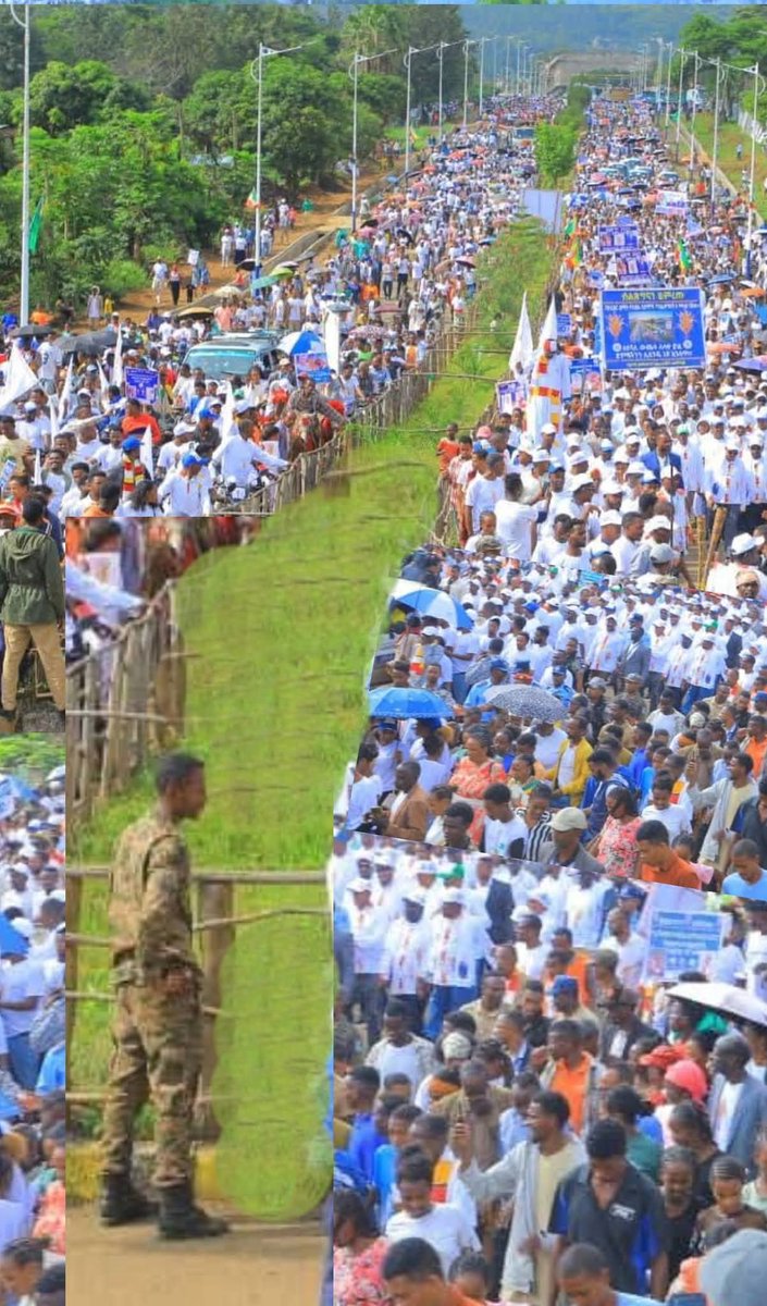 🇪🇹Semira Jamal🇪🇹 tweet media