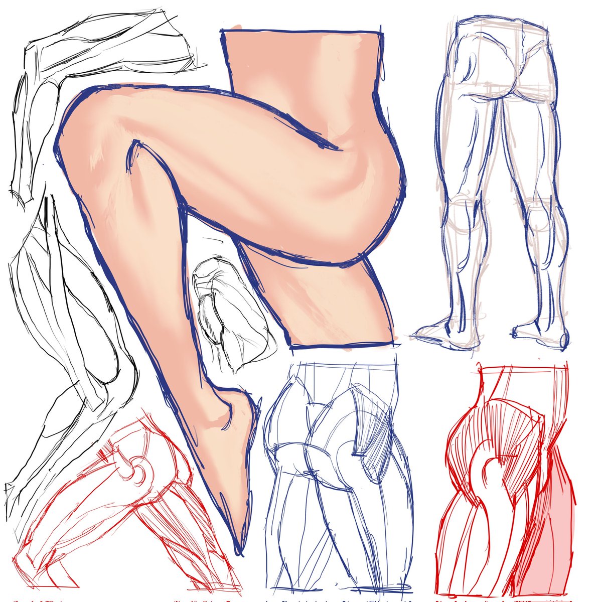 Sillybilly479's tweet photo. Leg study https://t.co/d4HM45cwha