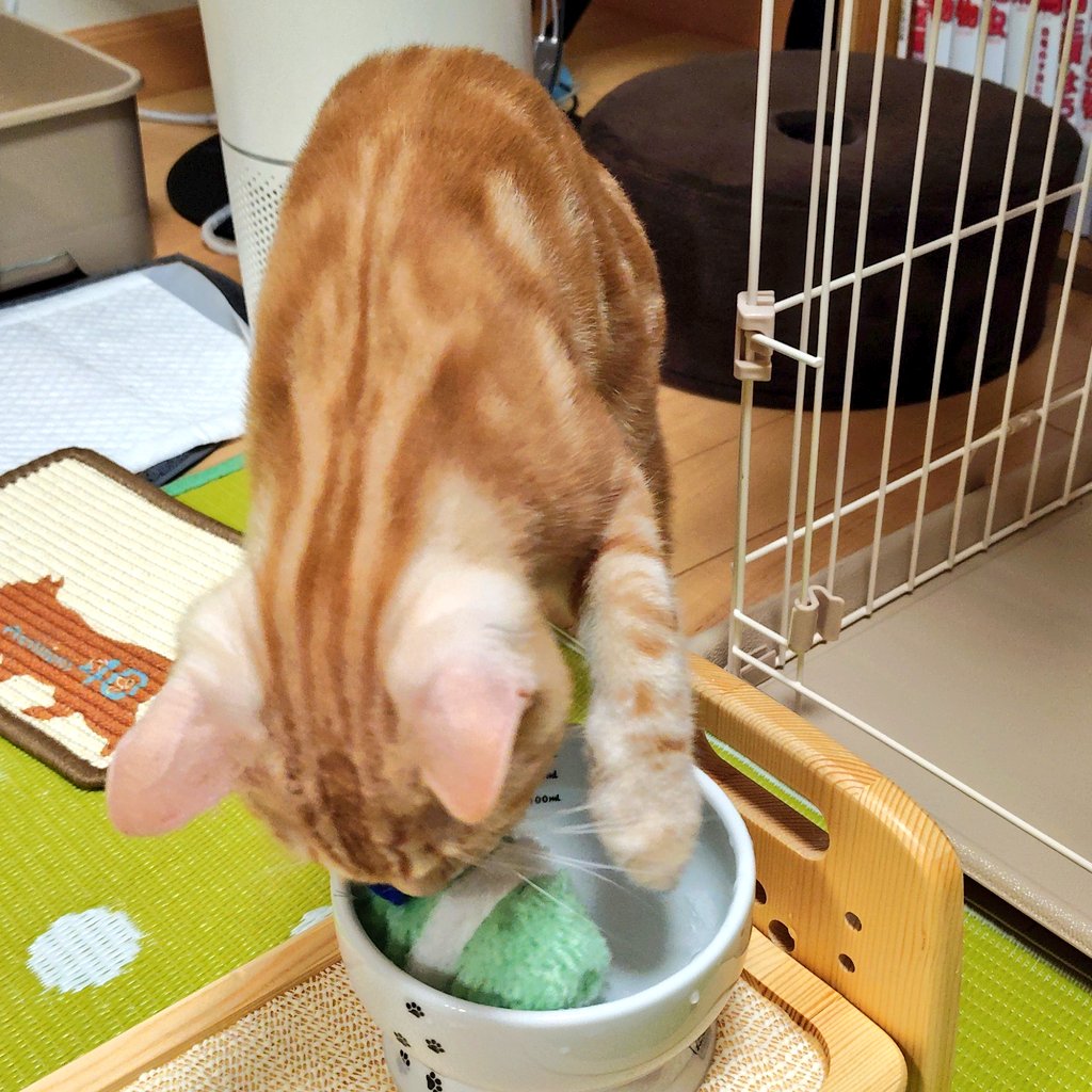 ふるゆか⌬🟨 tweet media