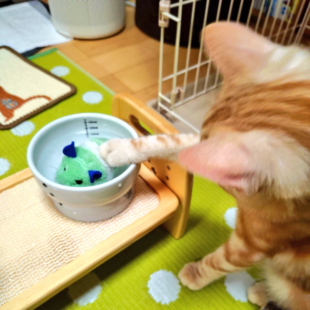 ふるゆか⌬🟨 tweet media