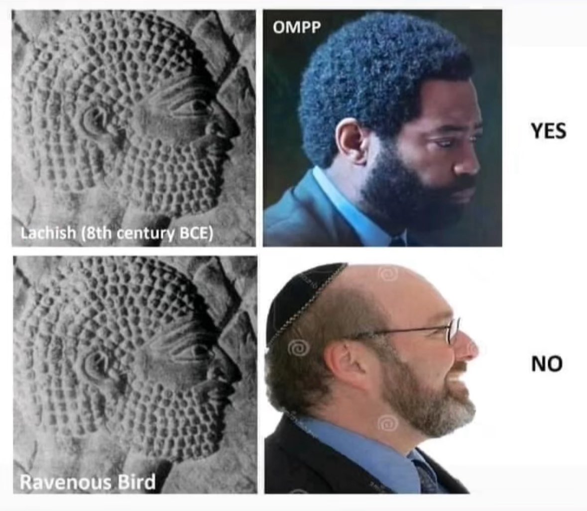 Semitic Jew tweet media