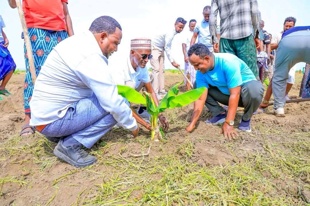 AfarState's tweet photo. በአፋር ክልል የተለያዩ ወረዳዎች የተገነቡ ንፀህ የመጠጥ እና የመስኖ ውኃ ፕሮጀክቶች ተመረቁ https://t.co/zASFGkU8Wu
