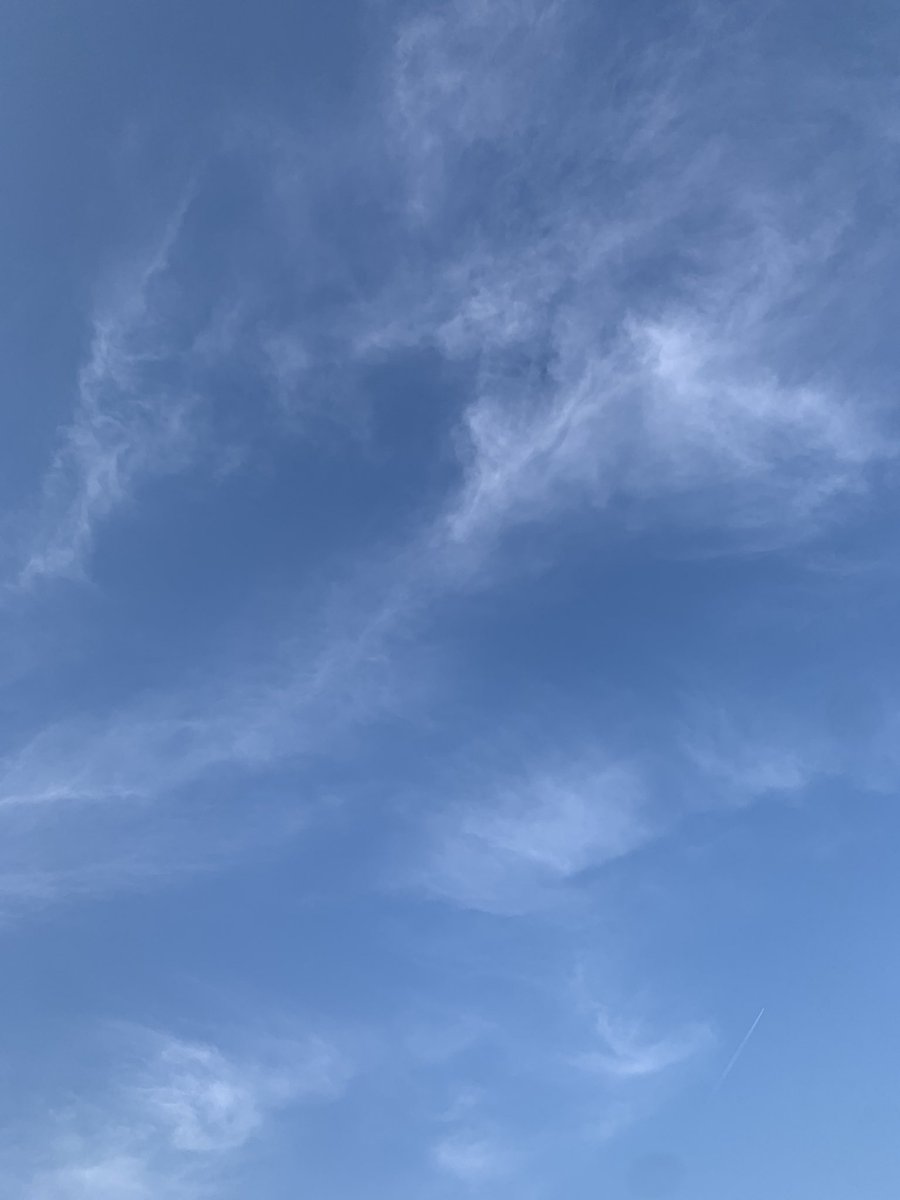 showastep's tweet photo. 今日も地球はGOKIGENでした。😀

メリーはかなりお疲れ気味です。

一昨日、ジュリー教祖と白峰にある恐竜博物館へ行ってまいりました。

恐竜・・・ロマンありますね。

オリジナル曲は少しずつだけど進んでおります😀

8月に��披露したい。

皆様、素敵な夜を。

スマイル🫶感謝🙏幸あれ👐 https://t.co/PJPECjW7Id