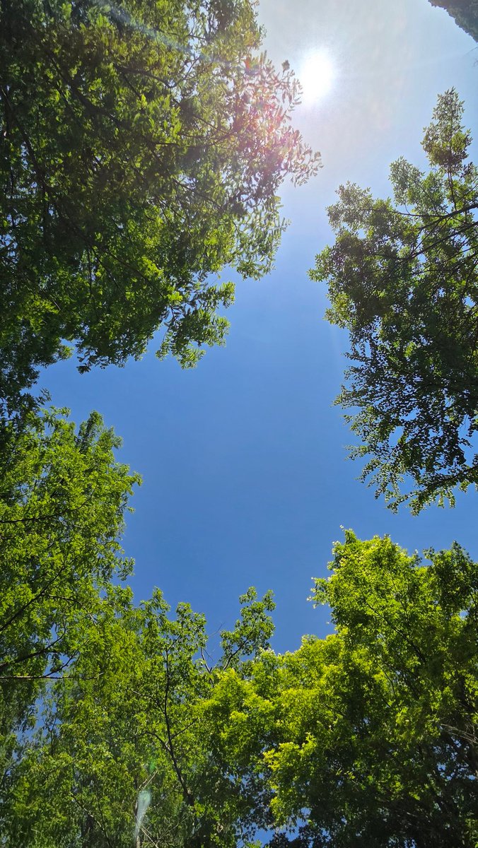樽ケ橋遊園 tweet media