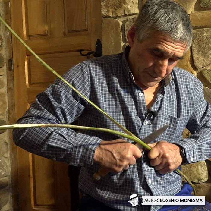 EugenioMonesma's tweet photo. 🧹🌿 Si hay #ESCOBAS resistentes y duraderas, esas son las artesanales.
Juan Ramón aprendió desde niño la técnica de elaboración de diferentes tipos de escobas, según su uso, utilizando los arbustos del #campo.
📽️ Documental COMPLETO (16') aquí: https://t.co/lorhjXxIRF https://t.co/Jp5CrDR0sz
