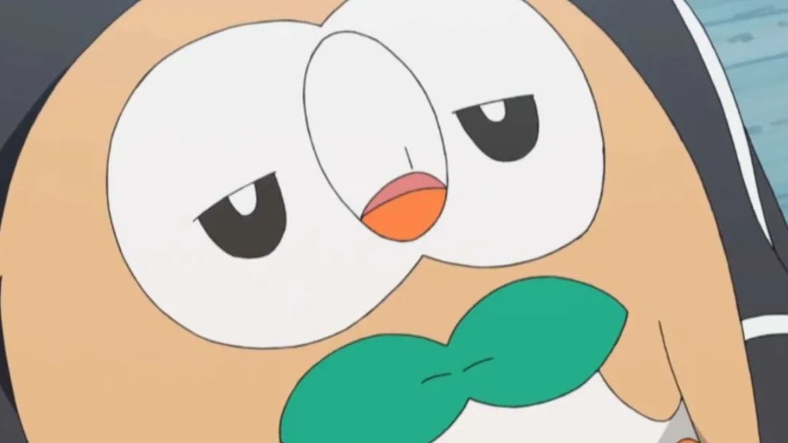 Daily Rowlet tweet media