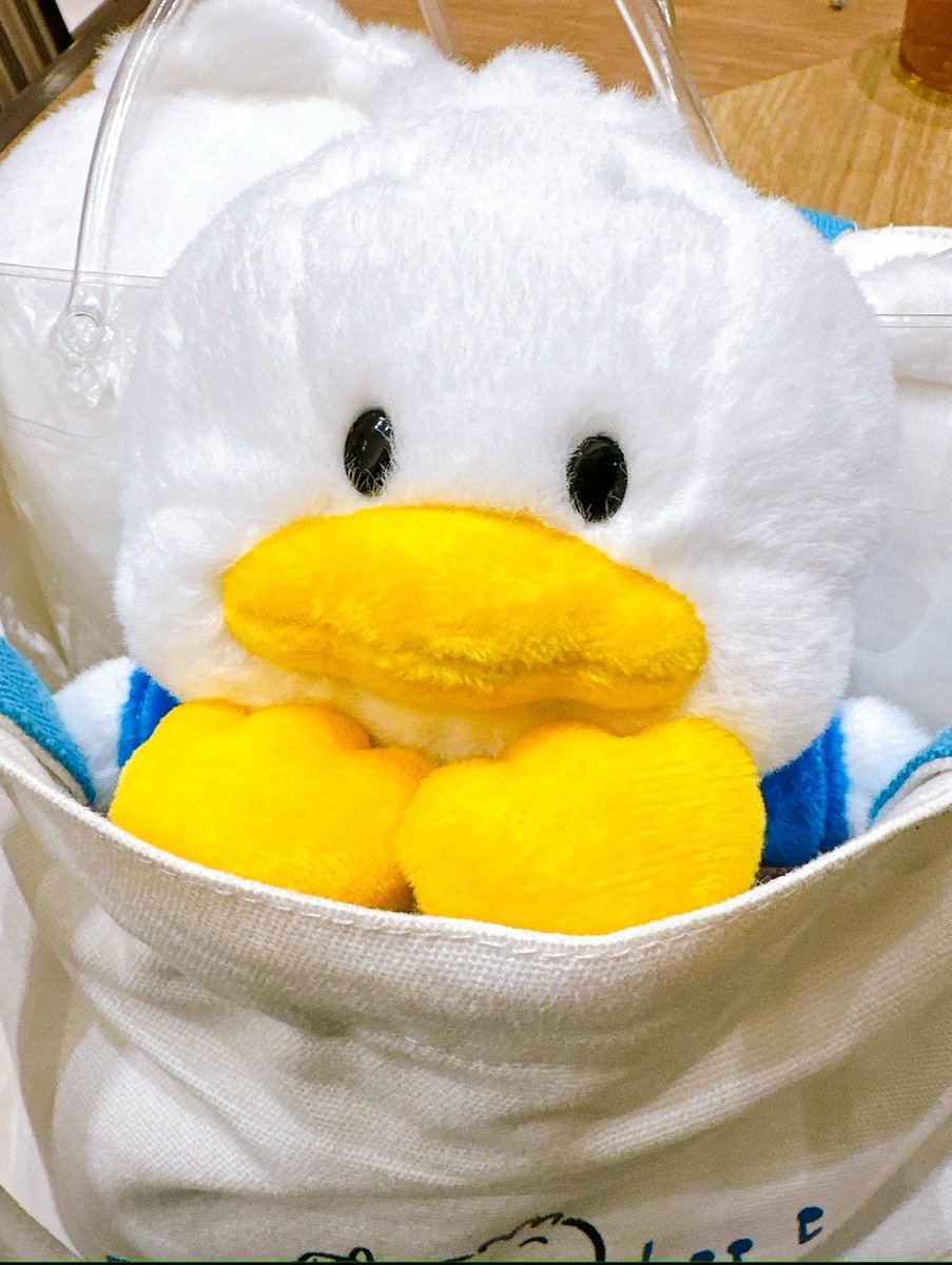 みっちゃん tweet media