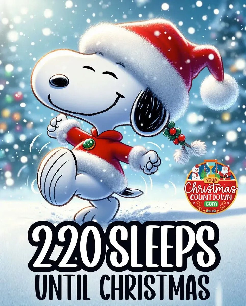 Your Christmas Countdown tweet media