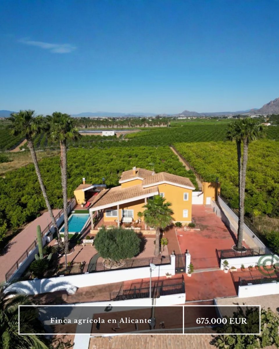 Cocampo_com's tweet photo. 🌿 Finca agrícola en venta
📍 Alicante
🍋 0,948 ha con limoneros
🏡 Villa de 495 m² en tres plantas
🛏 4 dormitorios y despacho
🏊 Piscina, jardín y barbacoa
🚗 Garaje, gimnasio y accesos motorizados
💶 675.000 €
https://t.co/1bsb9JLhZV
#fincaenventa https://t.co/Cs96Ih24Io