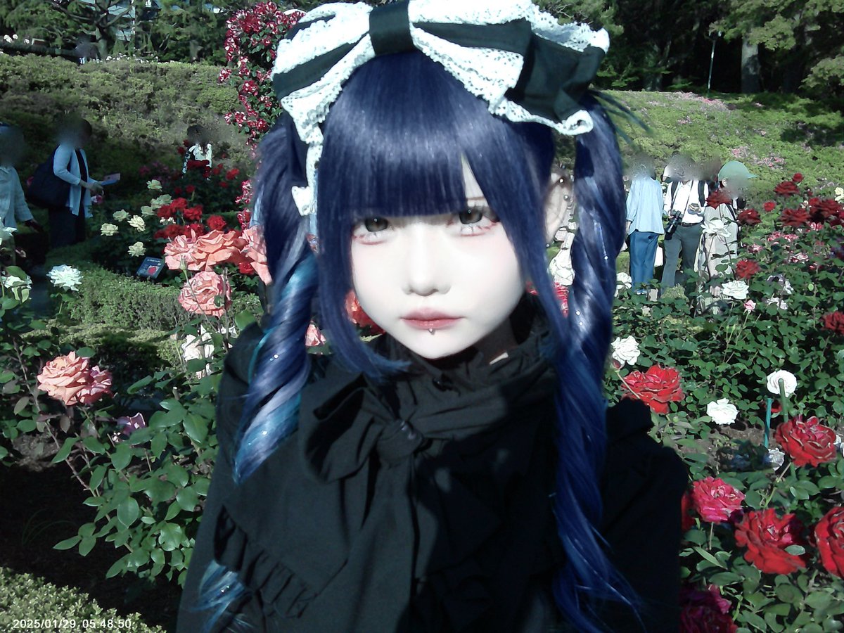 レゼ＝イルル【セクト】 (@0lululi6) / Posts / X