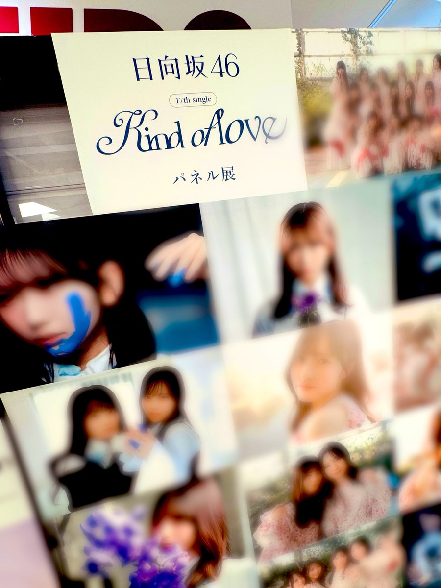 日向坂46】 #藤嶌果歩 ちゃん🐏のサインショッパー& #坂井新奈 ちゃん