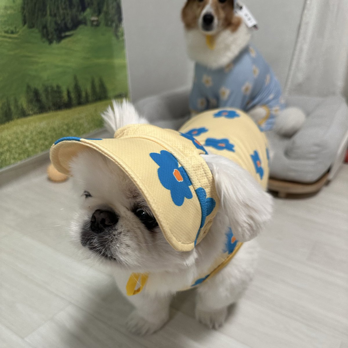김수수 tweet media
