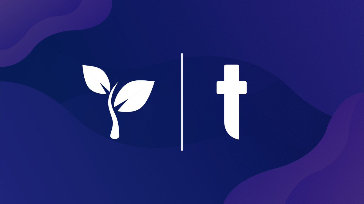 Streamseed! 🌱 tweet media