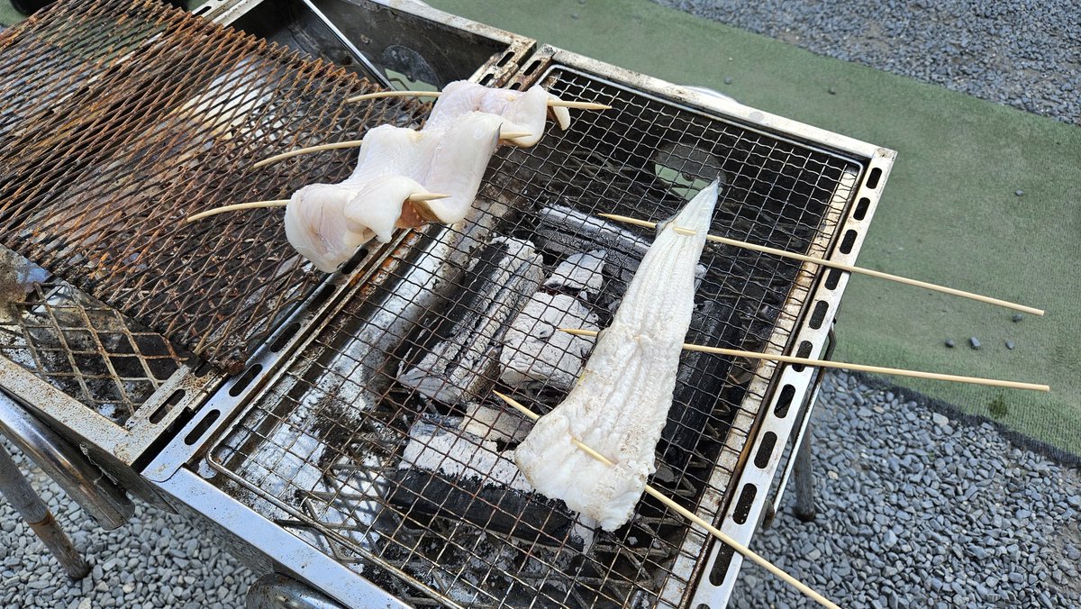Tsuku_Saba's tweet photo. おさかな市場で買った食材で海鮮バーベキュー！
アナゴの炭火焼き激ウマ。

カツオ買ってきたんですけど冷えプレートに盛り付けるとずっと冷たいまま食べられる事に気が付きました。

あー
良い1日です✨ https://t.co/eZPWJnTbcZ