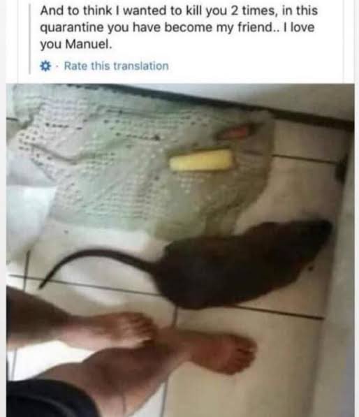 Leaf 🦭 robo fucker tweet media
