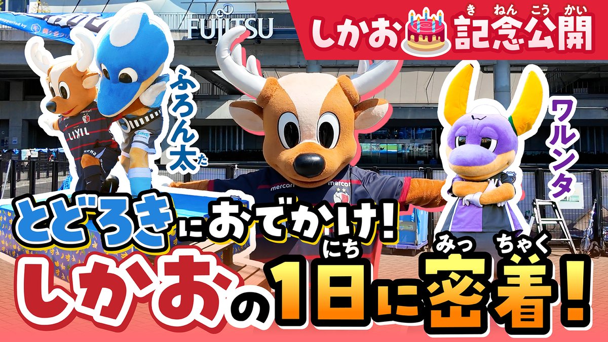 アントン🦌（しかおファミリー）【公式】@YouTubeやってるよっ tweet media