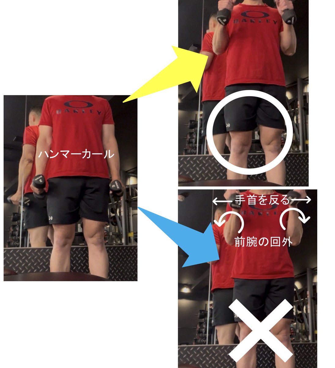 自重とウエイトいいとこどりフィットネス! tweet media