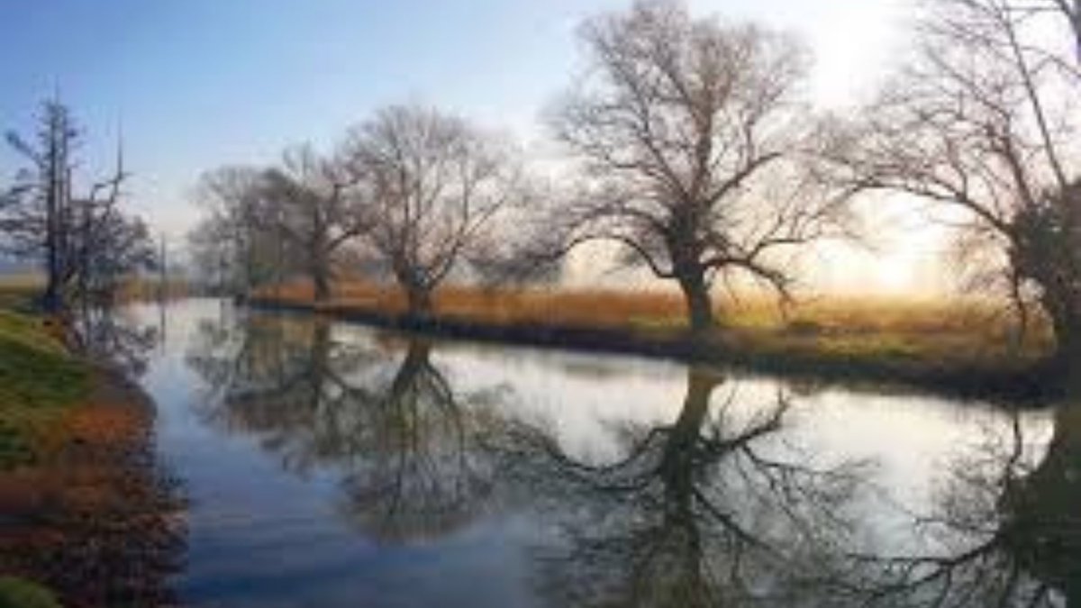 HisAlchemist's tweet photo. I spent much of Saturday following the Essex and Suffolk stretch of the River Stour with friends, moving between villages, churches, woodland tracks, and old back roads. It is an area I keep returning to because the landscape feels noticeably different once you get up into that northern edge of Essex.

The Stour itself seems to act as more than just a county boundary. A lot of the old stories and traditions of the area appear to collect around it somehow. Within a fairly short distance you move between places connected with the witch trials around Manningtree and Mistley, concentrations of ancient sarsen stones, strange local legends, isolated churches, and bits of folklore that still survive in fragments.

I have often thought that border landscapes tend to hold onto stories longer than other places. Perhaps it is because rivers were once barriers as much as routes of travel. Either way, the Stour Valley has a very particular atmosphere to it that is difficult to properly explain until you spend time wandering through it.

By the end of the day, standing beneath Old Knobbly as the last stop of the trip, it felt like a fitting way to finish a journey that had followed the river and its surrounding landscape for most of the afternoon.

#RiverStour #Essex #Suffolk #Folklore #EssexHistory #TheHistoryAlchemist #LandscapeHistory #FieldResearch #Manningtree #Mistley #SarsenStones #AncientSites #LiminalPlaces #HistoricEssex