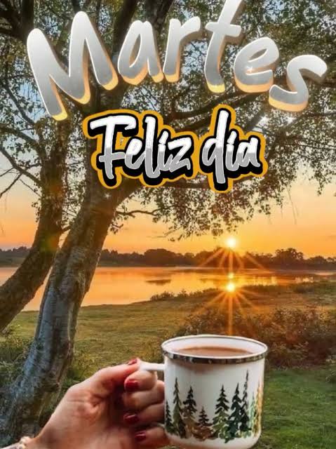 Leo Antúnez Solís tweet media