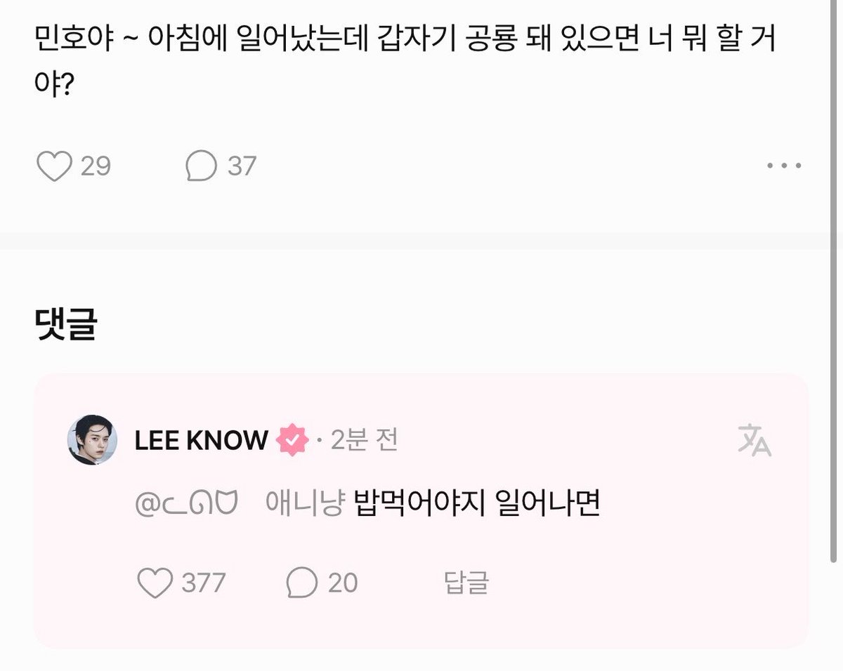교자🥟 tweet media