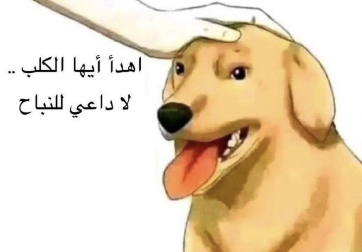 لغاي tweet media