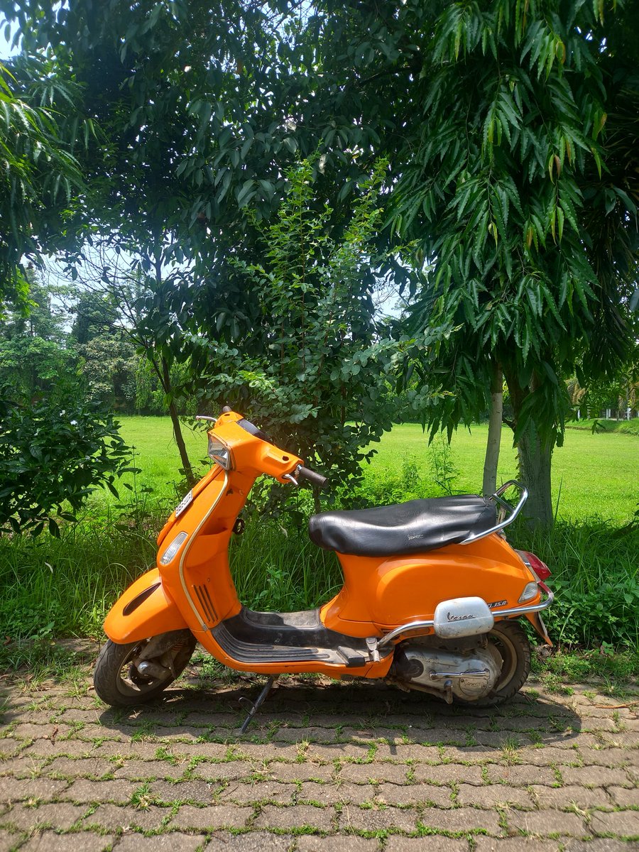 Bhaswatieee's tweet photo. Orange everywhere🍊 https://t.co/Ud4DxKnA4L