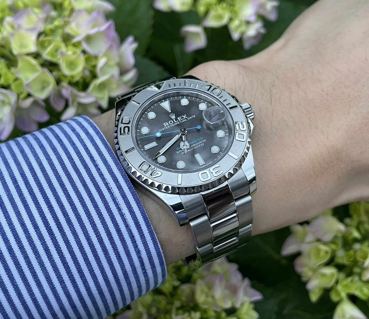 WatchOut4_Watch's tweet photo. しごおわ🐸
ヨットマスター37⛵️✨ https://t.co/bc9Gea5msC