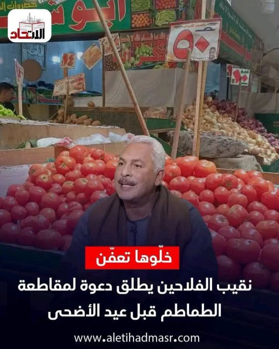 Rania Elkhateeb tweet media