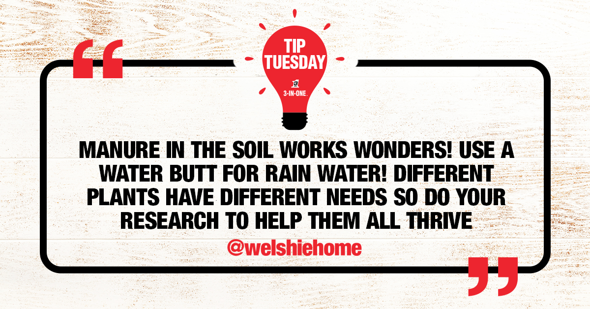 3InOneUK's tweet photo. Tip Tuesday is back and with the winning tip!

A great big thank you to everyone who entered, but this one really stood out:

"Manure in the soil works WONDERS! Use a water butt for rain water! Different plants have different needs so do your research to help them all thrive" @welshiehome

We asked for your best tip and you delivered – enjoy your exclusive maintenance products!

#3inone #3in1 #tiptuesday #communitytips #diyuk #homefixes #lifehacks #everydaytips