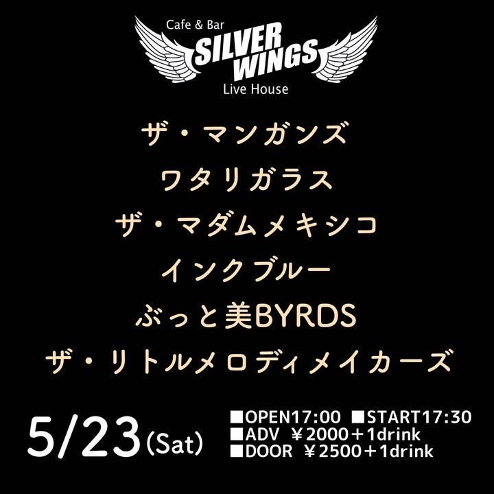 ぶっと美☆BYRDS tweet media