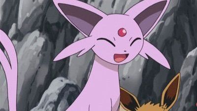 Pokémon Daily tweet media