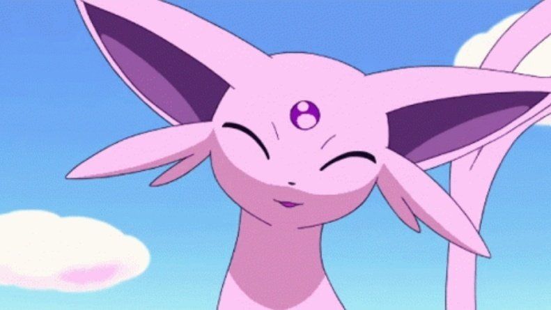 Pokémon Daily tweet media