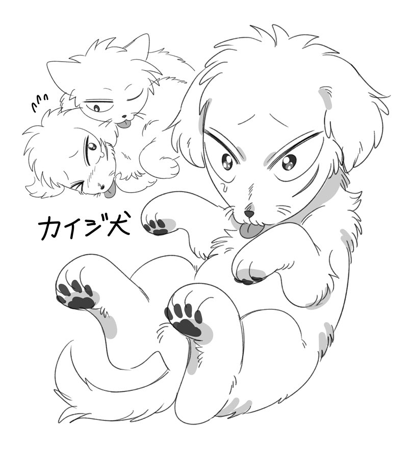 🐤ギャンハイH43 tweet media
