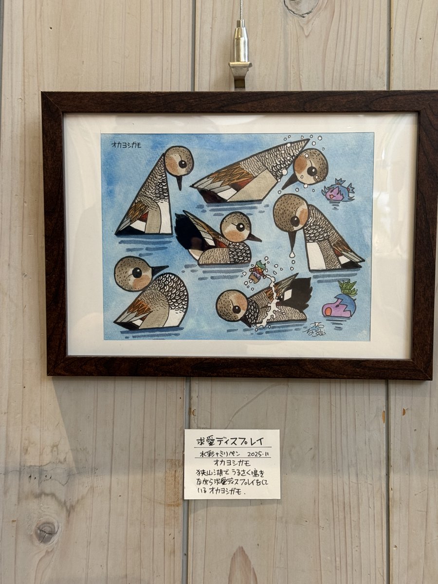 SimbaChan2's tweet photo. 「BIRD ART WEEK 〜心と技で切り取った野鳥世界〜」国営昭和記念公園の花みどり文化センターにて5月19日（火）から5月28日（木）まで開催されています。 https://t.co/w7diIRZ5qk