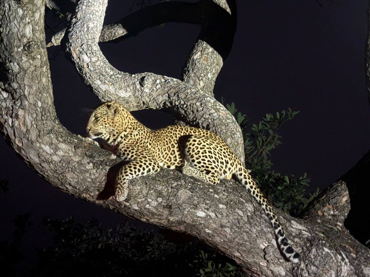 MoAfrika_Tours's tweet photo. Another day in #Africa - https://t.co/bQzfW6WsRQ https://t.co/O4ODlIOoU6