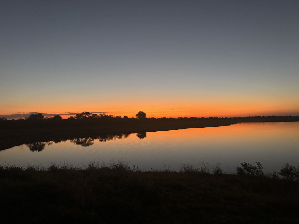 MoAfrika_Tours's tweet photo. Another day in #Africa - https://t.co/bQzfW6WsRQ https://t.co/O4ODlIOoU6