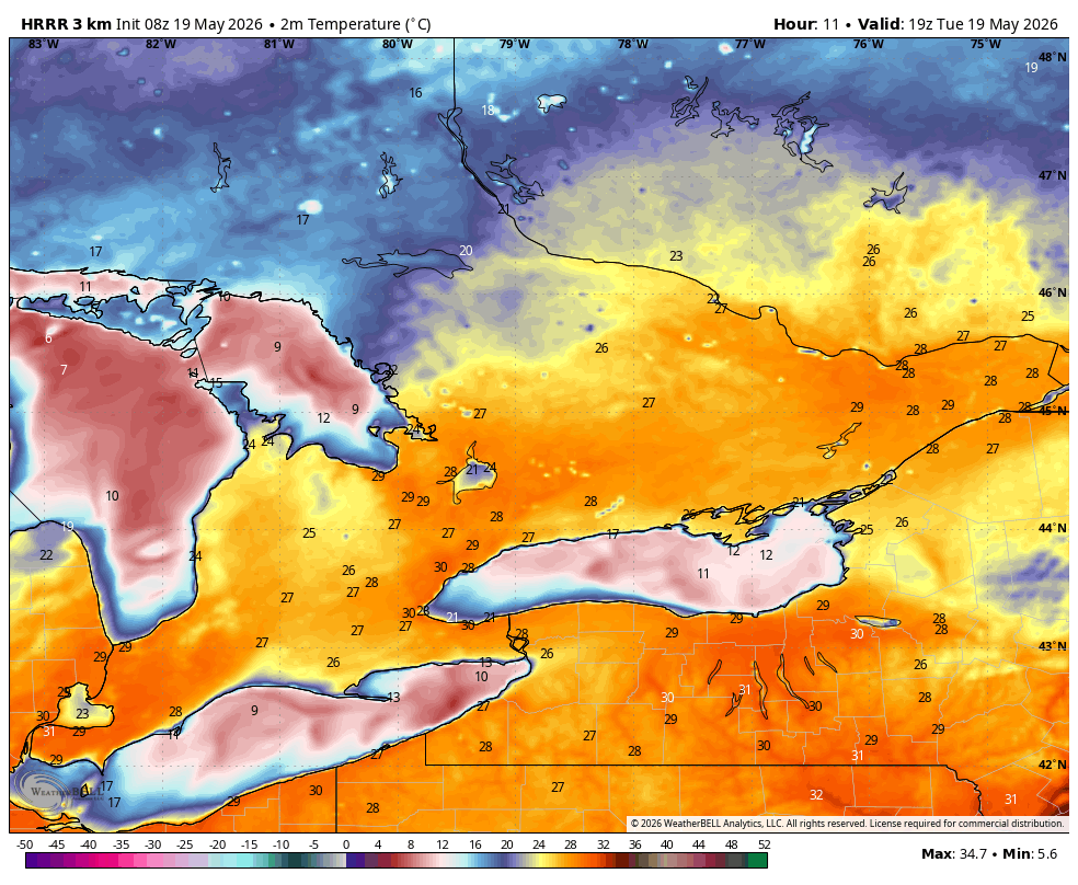 WxOntario tweet media