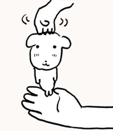 나츠 tweet media