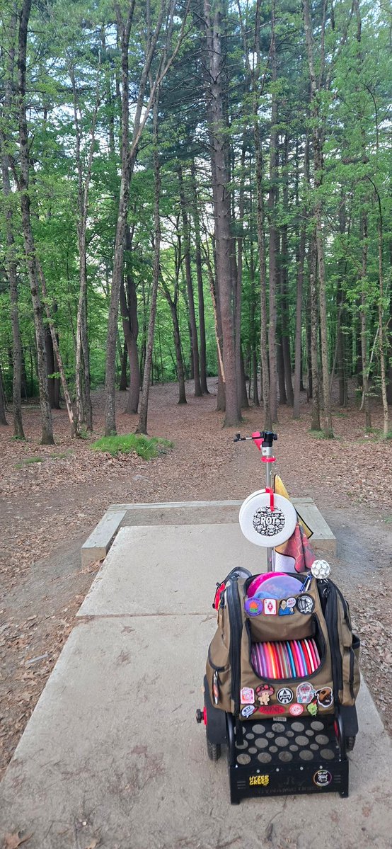Disc Golf Dumpster Fire tweet media