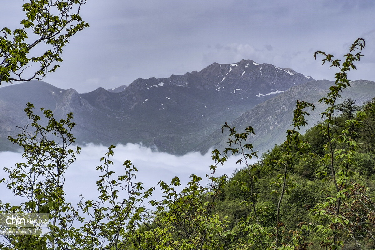 VisitIran3's tweet photo. Arfa Mountain, #Mazandaran Province, Northern #Iran 
📸: Mahya RashidiRad
#ایران، #مازندران، #سوادکوه
ارفع کوه https://t.co/u2ScDDtKOh