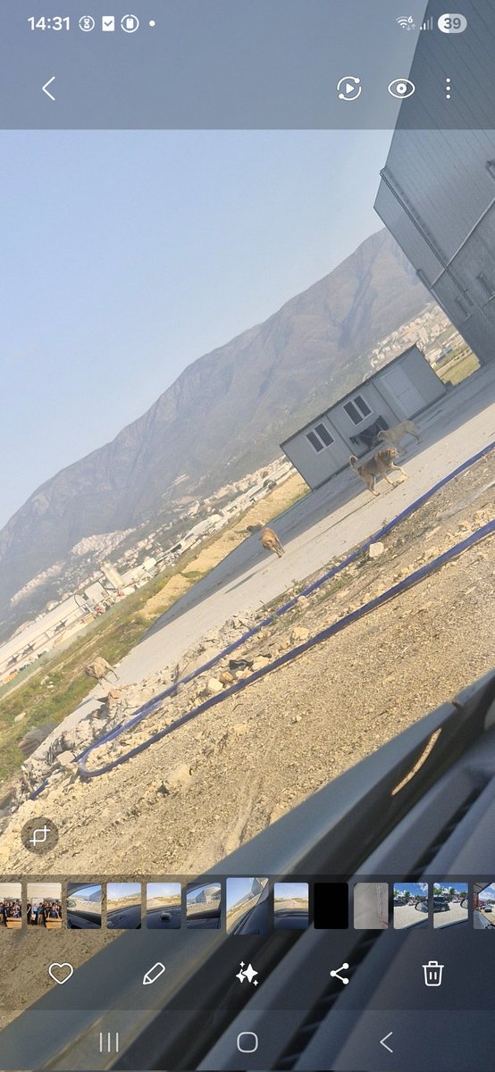 abdullah tweet media