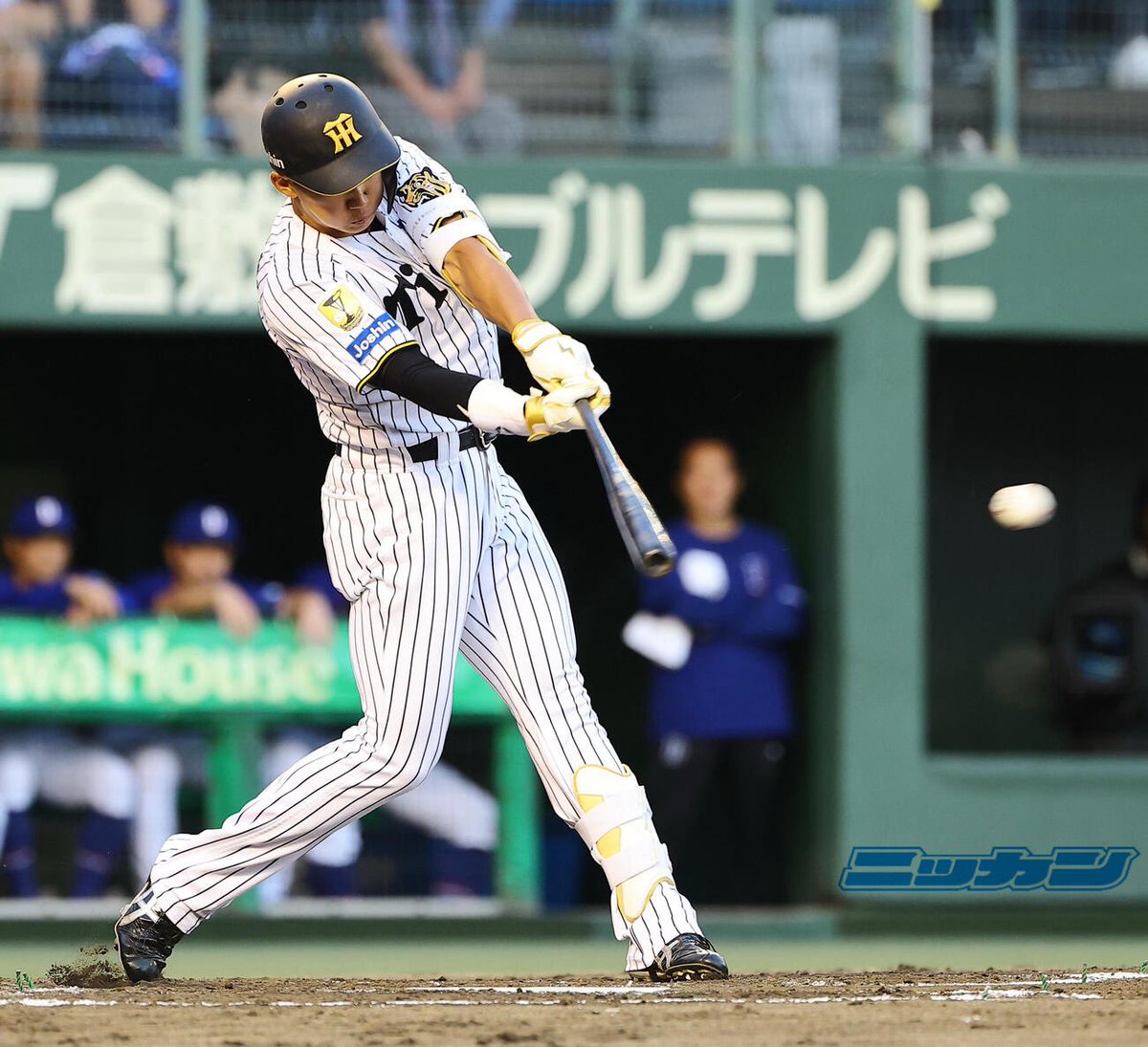 極トラ・プレミアム(日刊スポーツ) tweet media