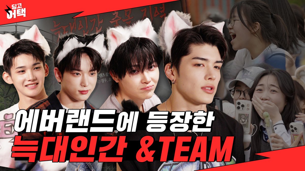 dingo(딩고) tweet media