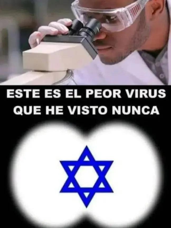 FELIPE VELEZ tweet media