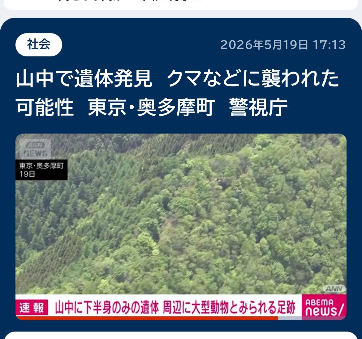 はむし tweet media