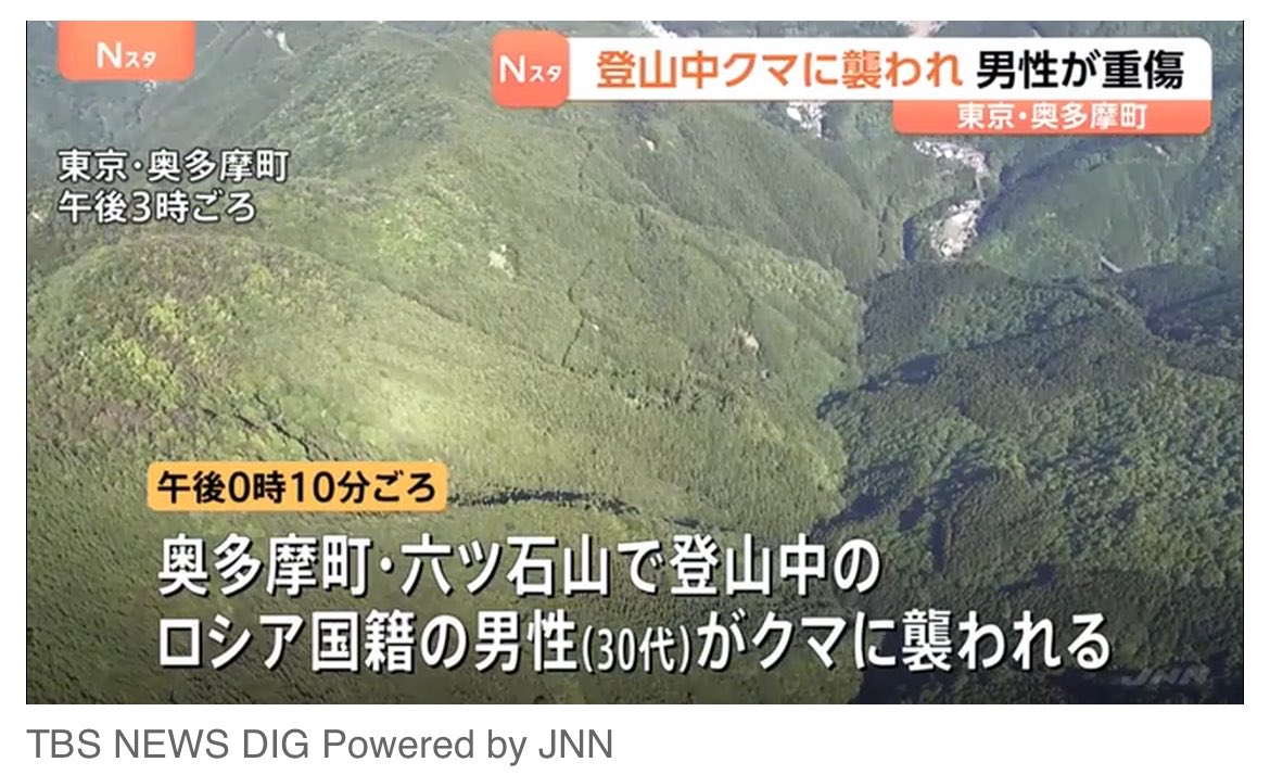 はむし tweet media