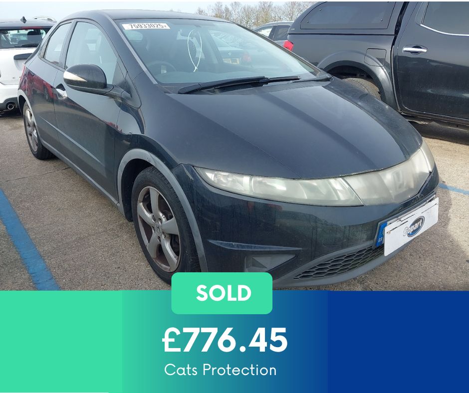 Giveacar's tweet photo. Small act, big impact 🐾💛

This 2008 Honda Civic raised £776.45 for @catsprotection helping support cats and kittens in need of care, safety, and a loving home. https://t.co/Xg7Ye3FAHw
